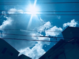 IMG_1683.jpg