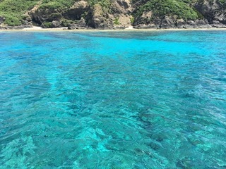 IMG_3126.jpeg