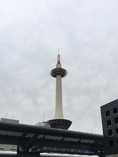 IMG_3933.jpg