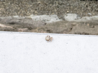 IMG_4836.jpeg