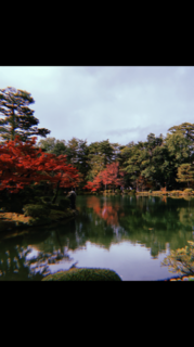IMG_4943.PNG