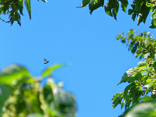 IMG_6470.jpg