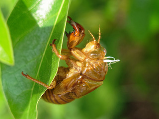 IMG_6586.jpg