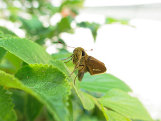 IMG_6810.jpg