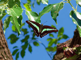 IMG_7405.jpg