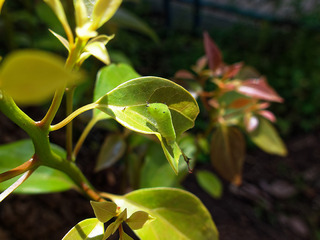 IMG_7867.jpg