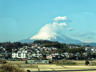 IMG_8224.jpg