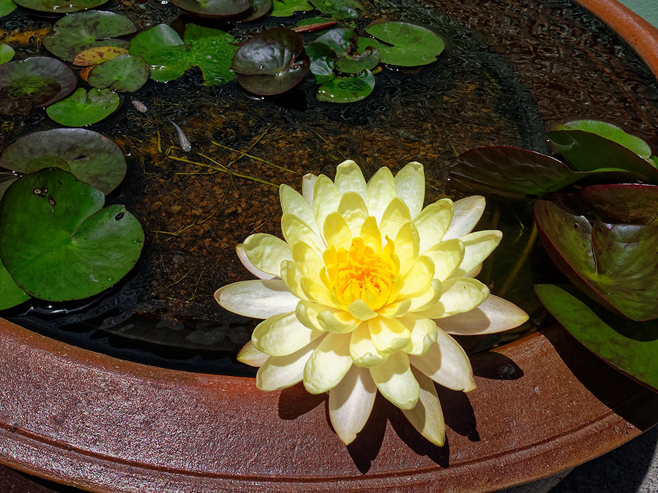 IMG_9987.jpg